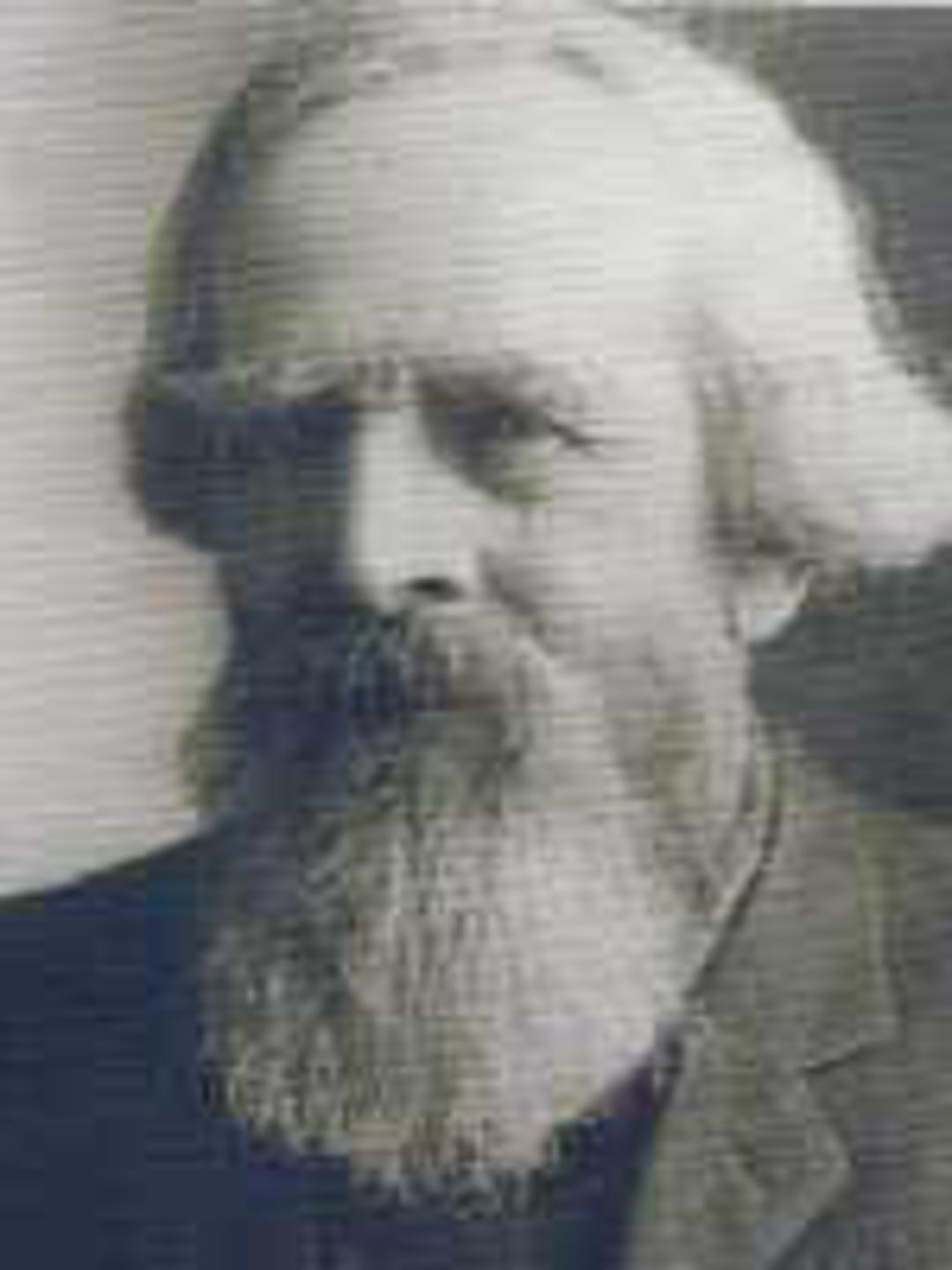 Moses Draper (1832 - 1915) Profile